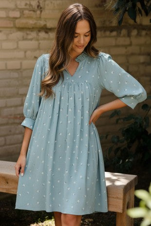 Frilled Bubble Sleeve Dress